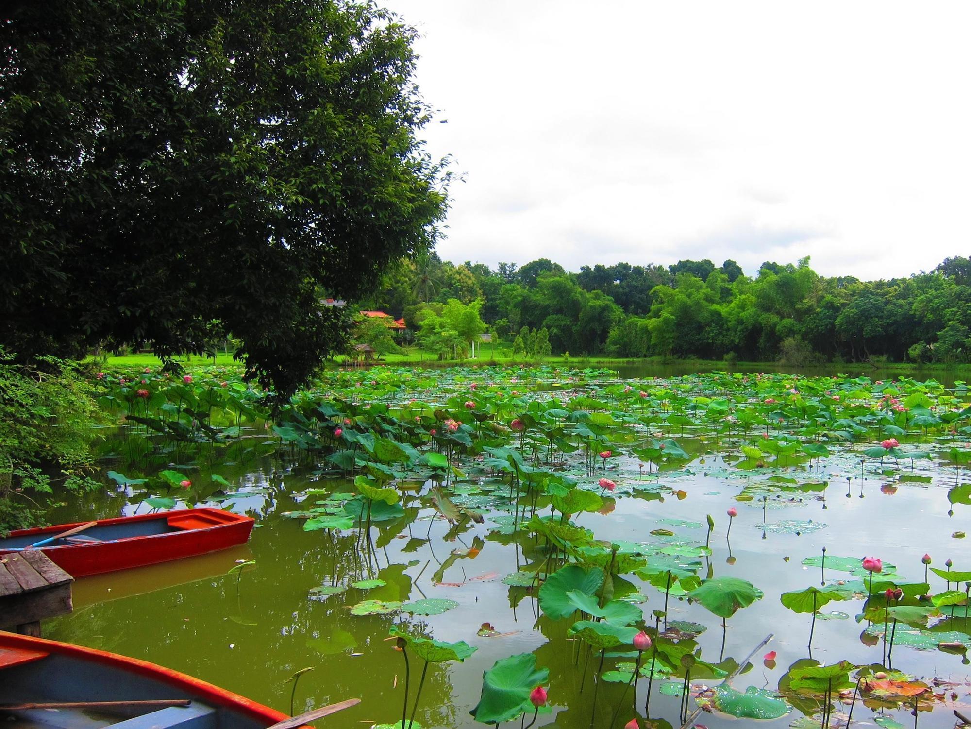 Mae Rim Lagoon Bed & Bakery מראה חיצוני תמונה